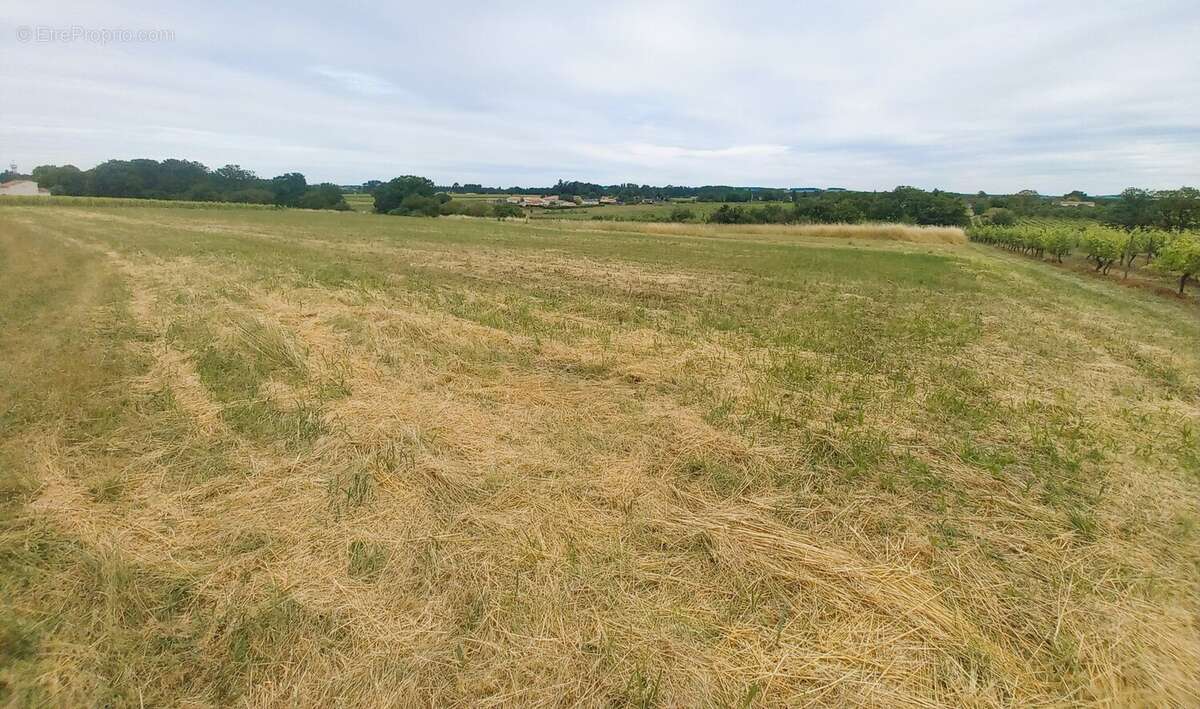 Terrain à BOURG-CHARENTE