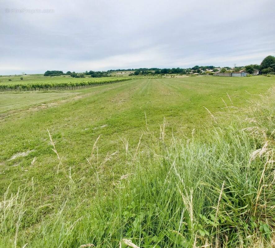 Terrain à BOURG-CHARENTE