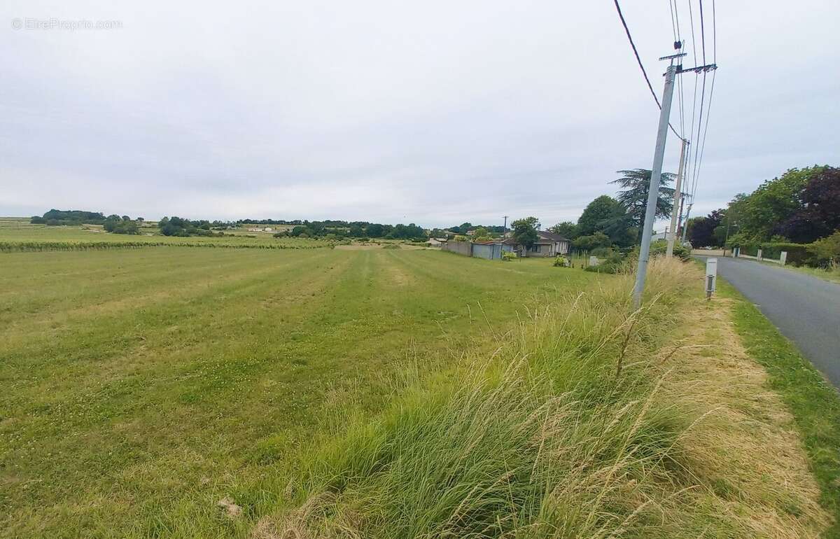 Terrain à BOURG-CHARENTE