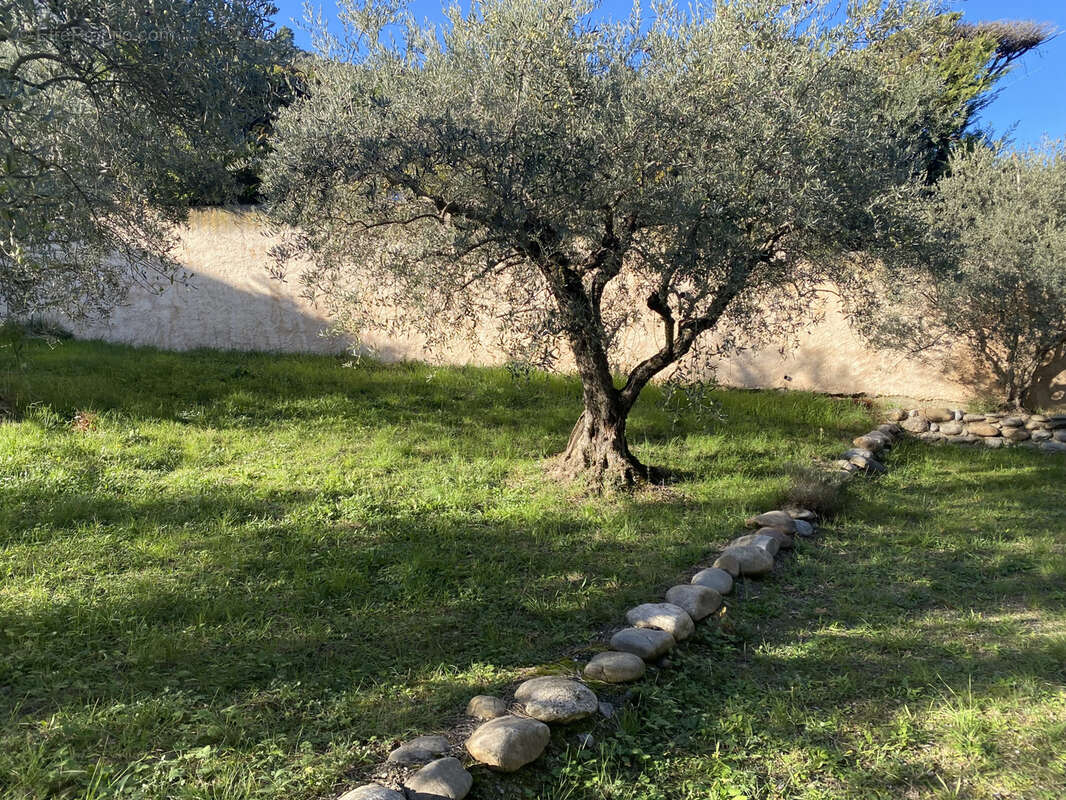 Maison à VILLENEUVE