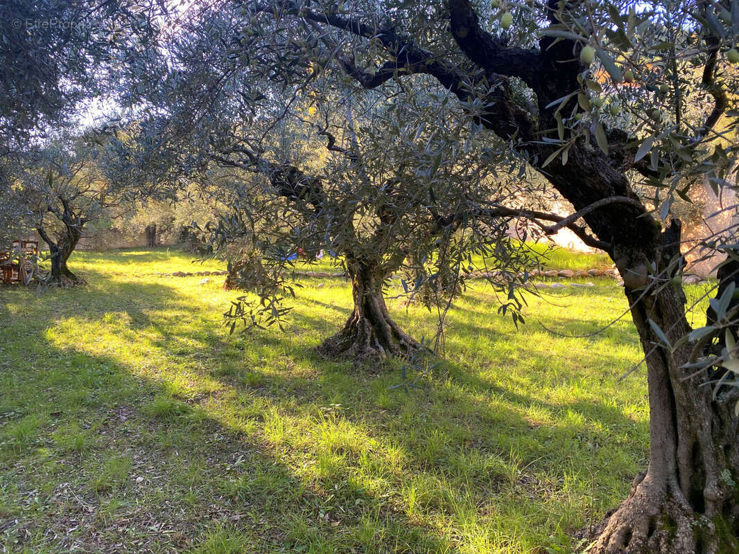 Maison à VILLENEUVE