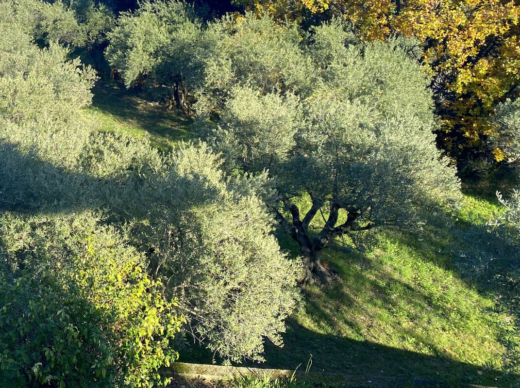 Maison à VILLENEUVE