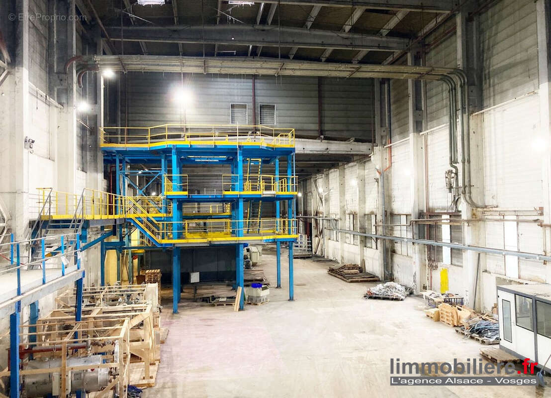 Commerce à SAINTE-MARIE-AUX-MINES