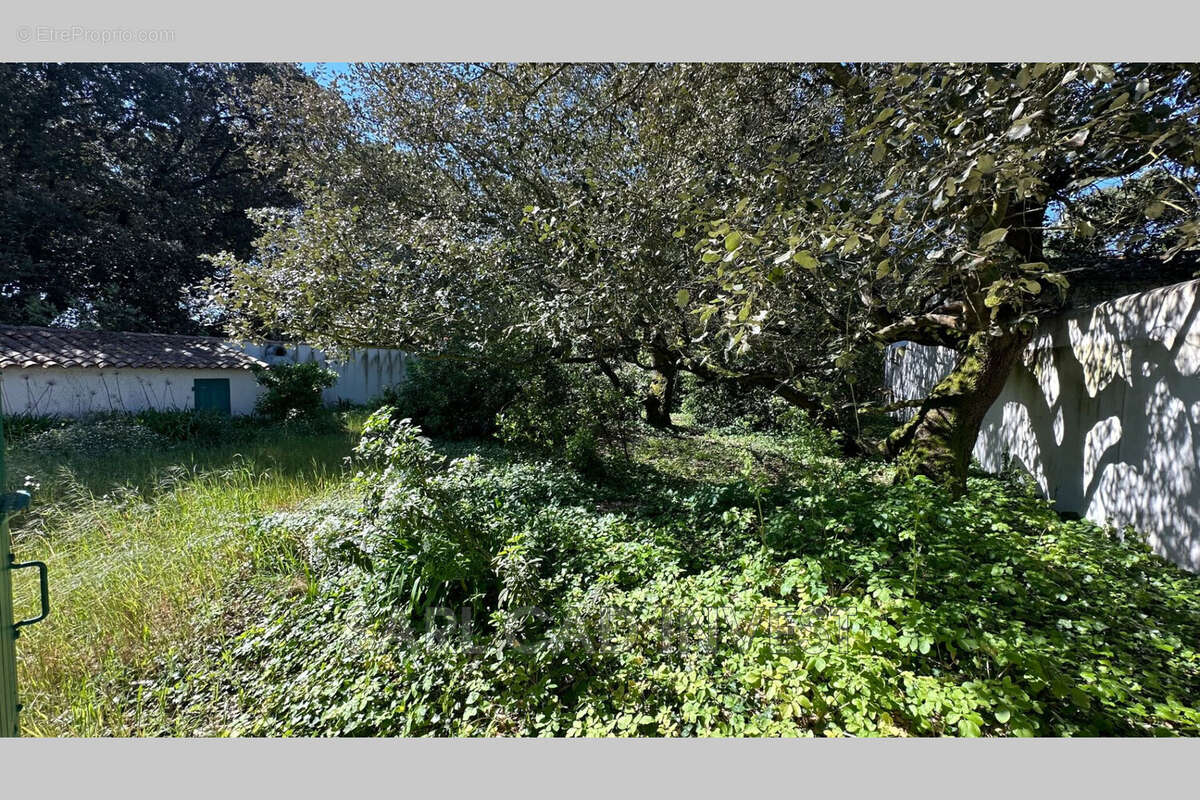 Maison à LA COUARDE-SUR-MER