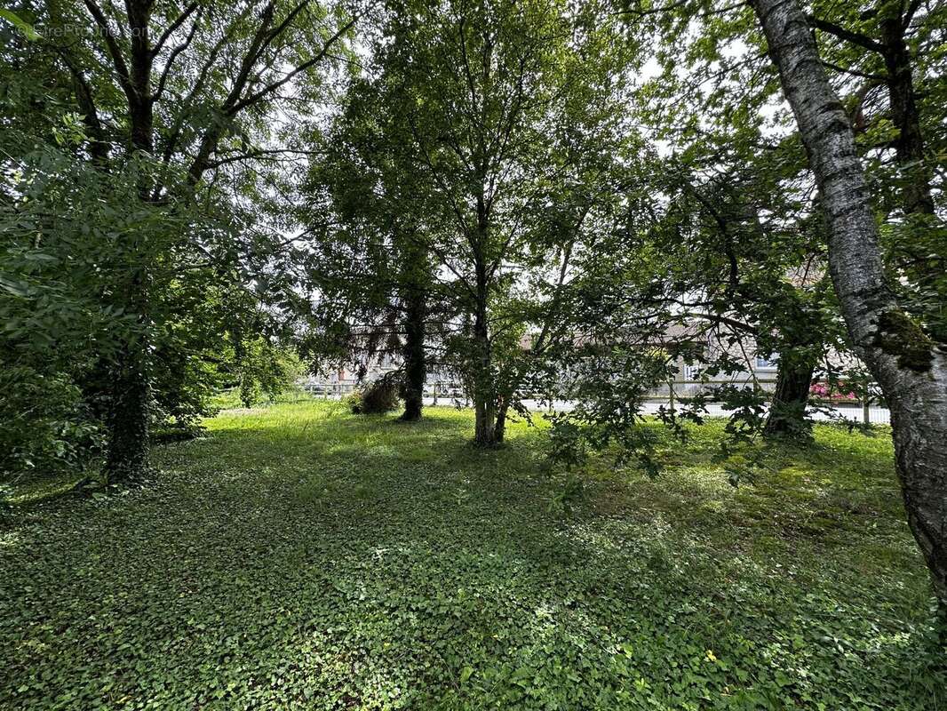 Terrain à BEINE-NAUROY