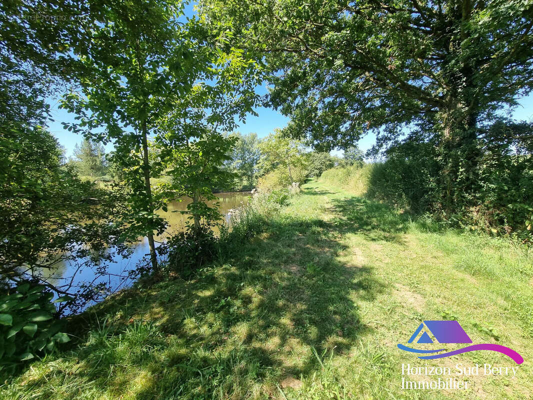 Terrain à CHASSIGNOLLES