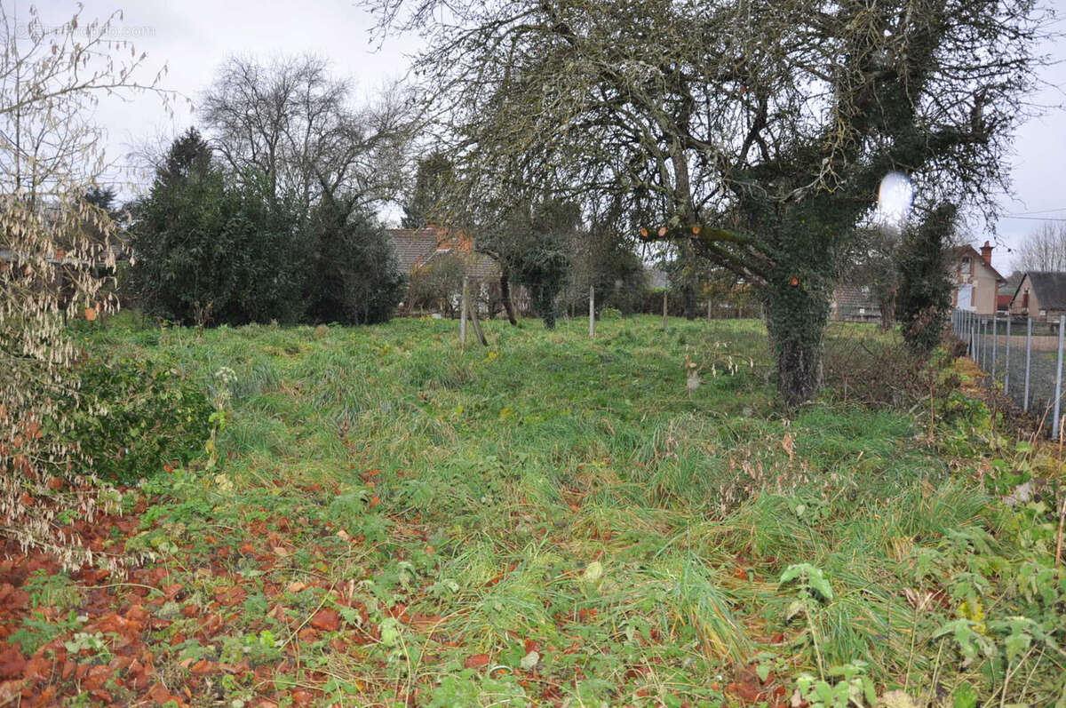 Terrain à JALIGNY-SUR-BESBRE
