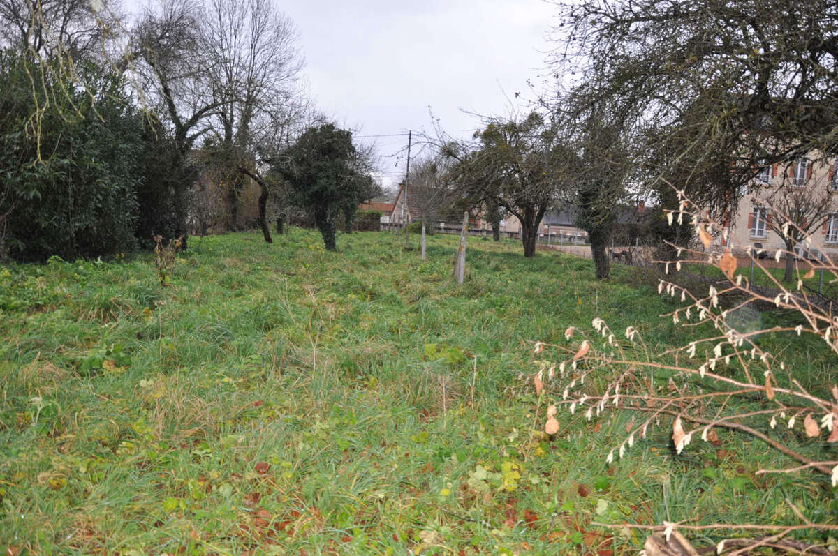 Terrain à JALIGNY-SUR-BESBRE