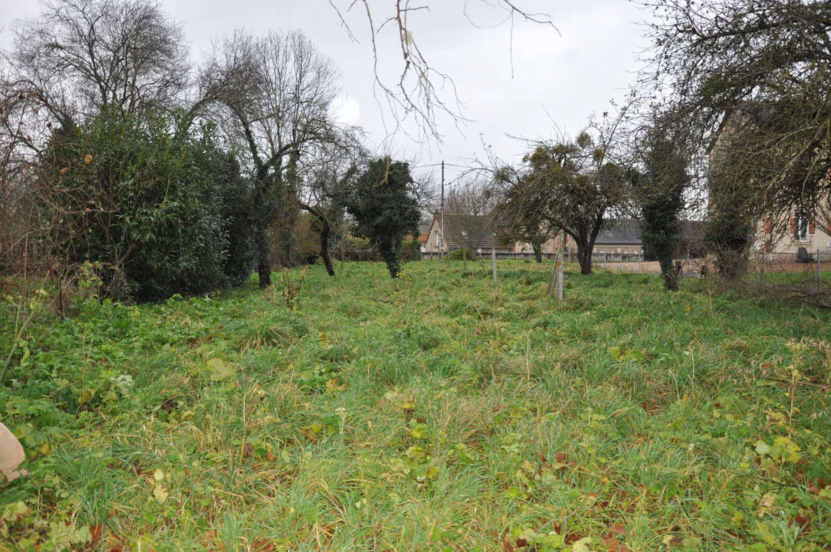 Terrain à JALIGNY-SUR-BESBRE