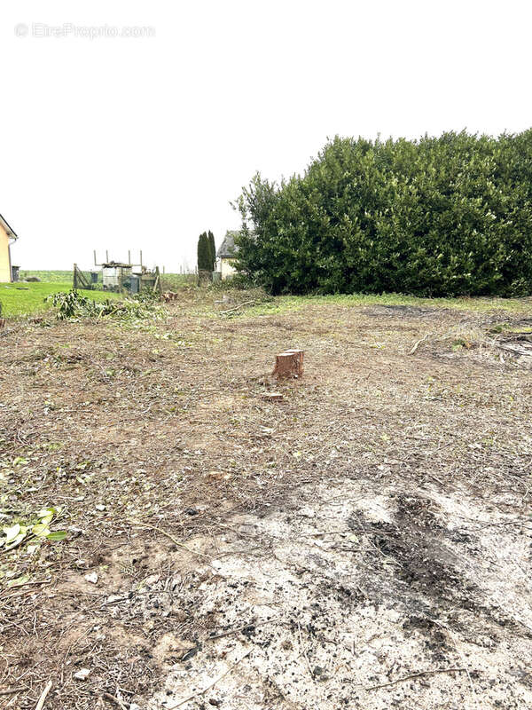 Terrain à PUCHAY