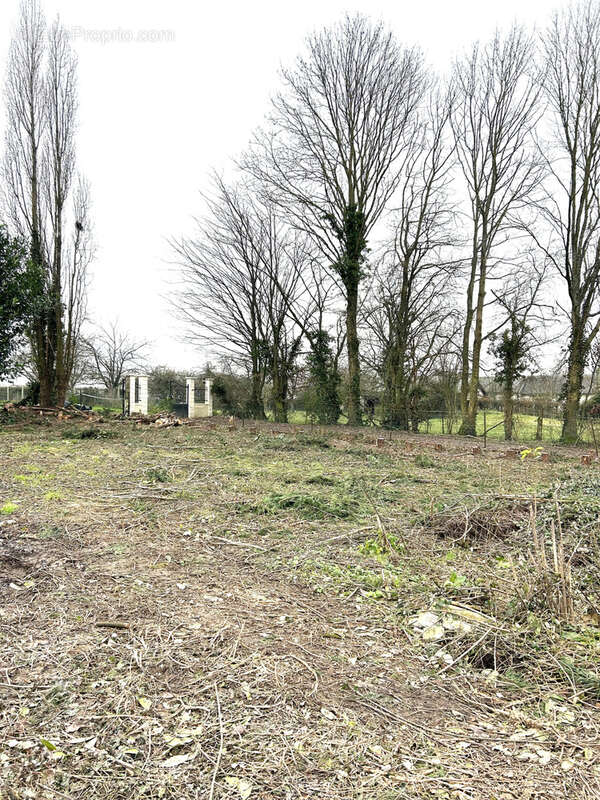 Terrain à PUCHAY