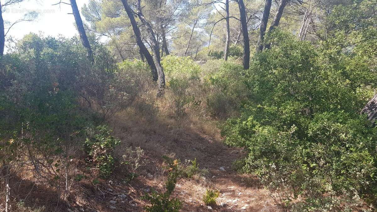 Terrain à LA ROQUE-D&#039;ANTHERON