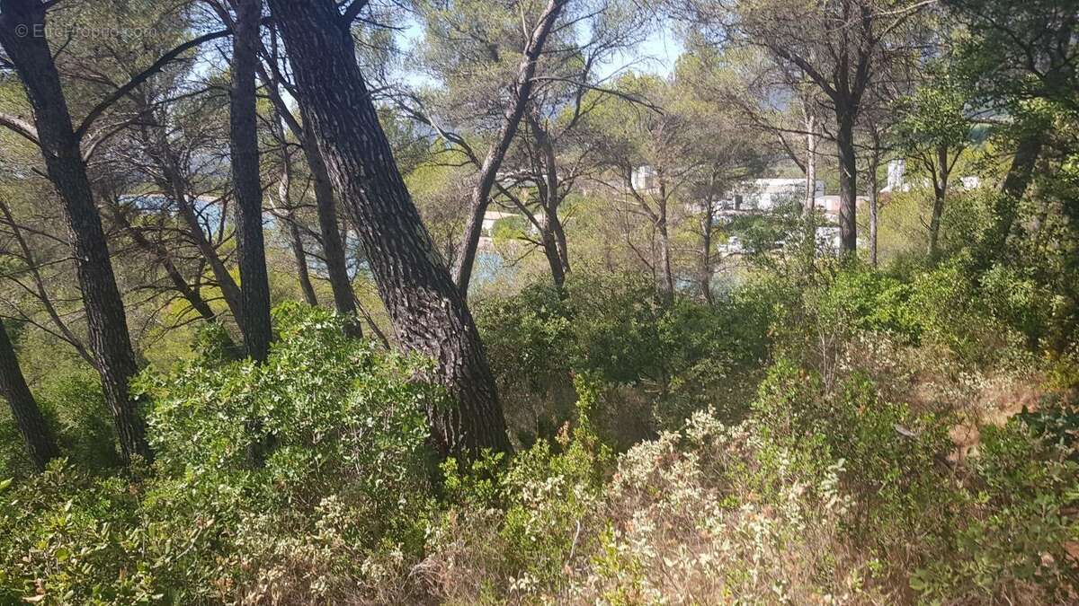 Terrain à LA ROQUE-D&#039;ANTHERON