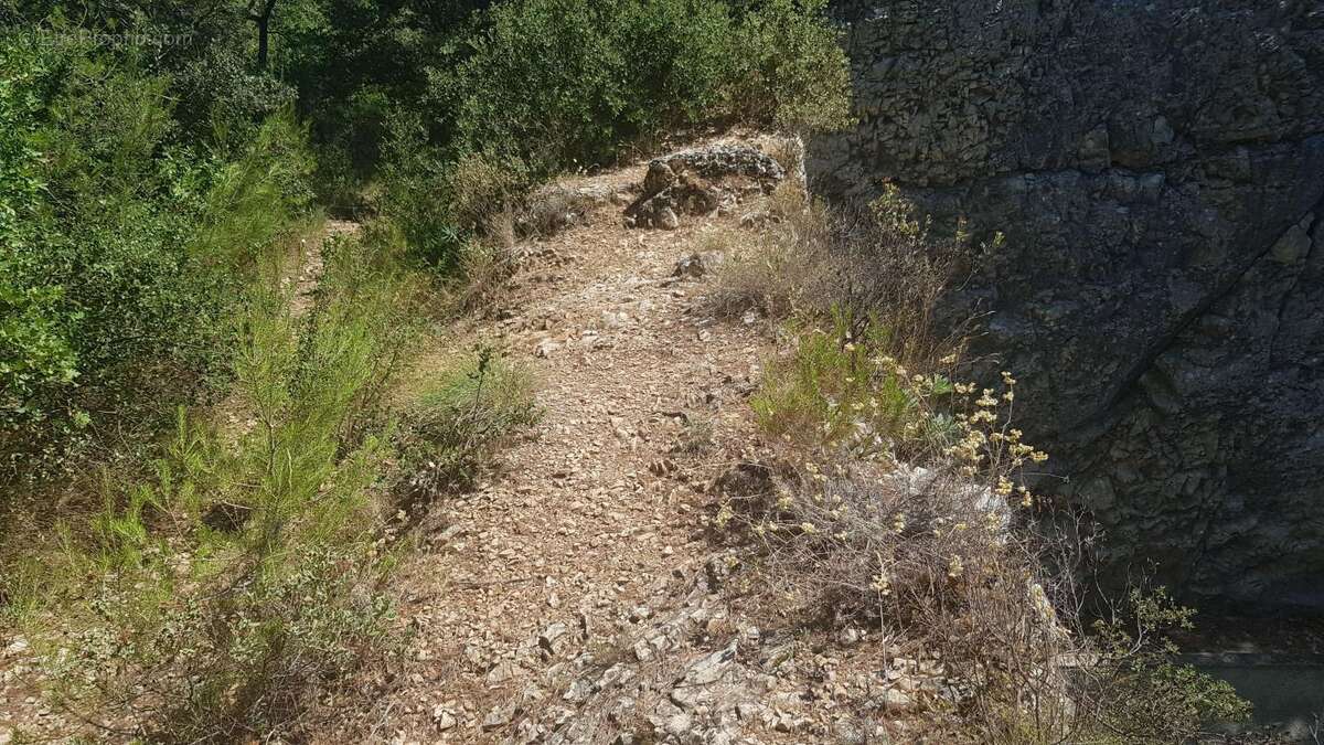 Terrain à LA ROQUE-D&#039;ANTHERON