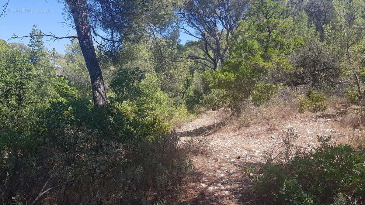 Terrain à LA ROQUE-D&#039;ANTHERON