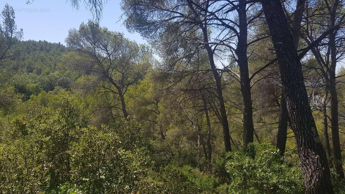 Terrain à LA ROQUE-D&#039;ANTHERON