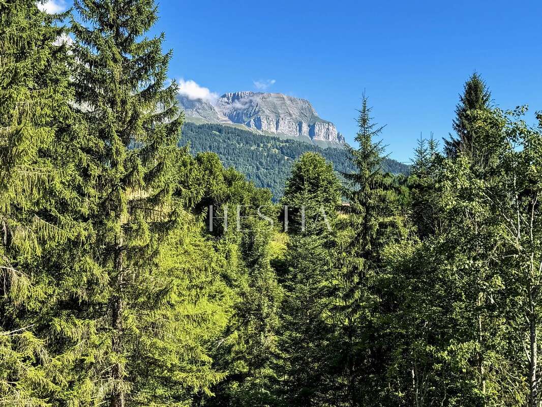 Maison à SALLANCHES