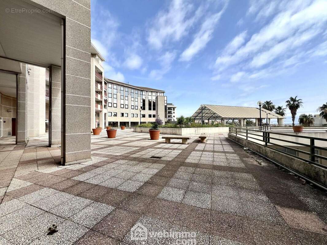 La place du forum du Fango - Commerce à SAN-MARTINO-DI-LOTA