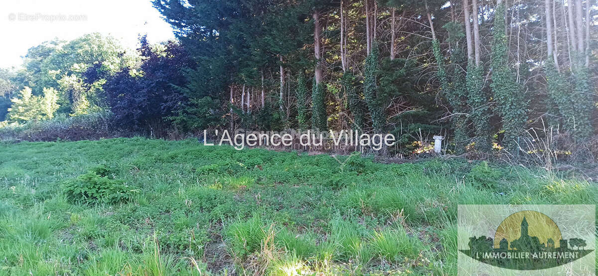 Terrain à GRISY-LES-PLATRES