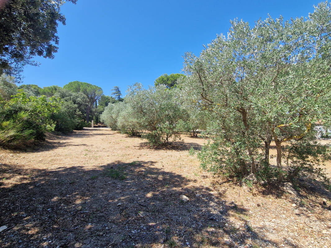 Terrain à CAVAILLON