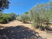 Terrain à CAVAILLON