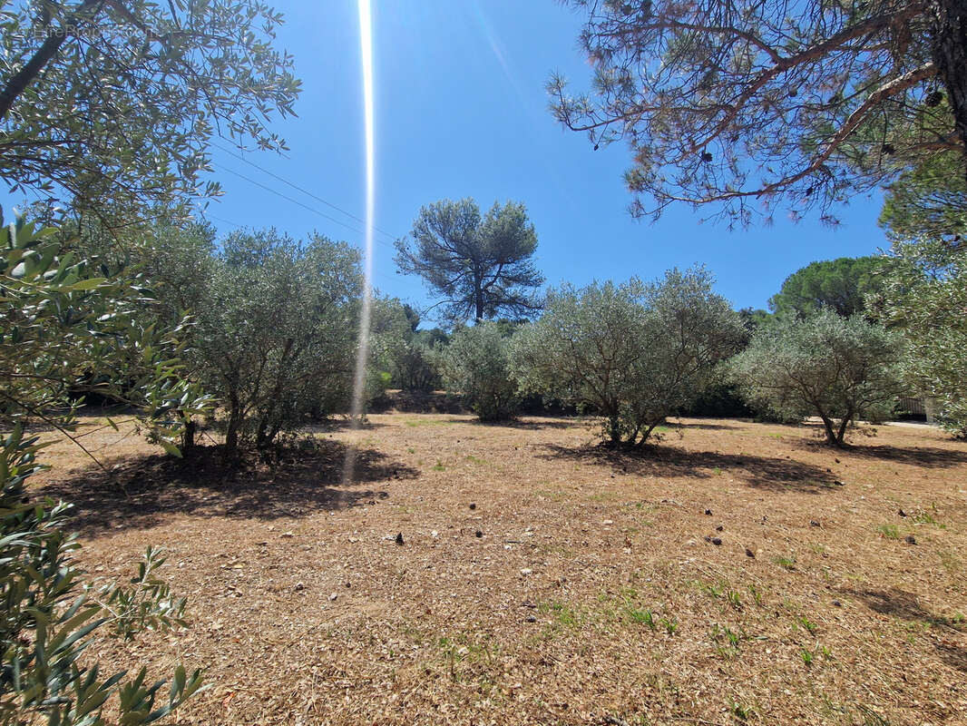 Terrain à CAVAILLON