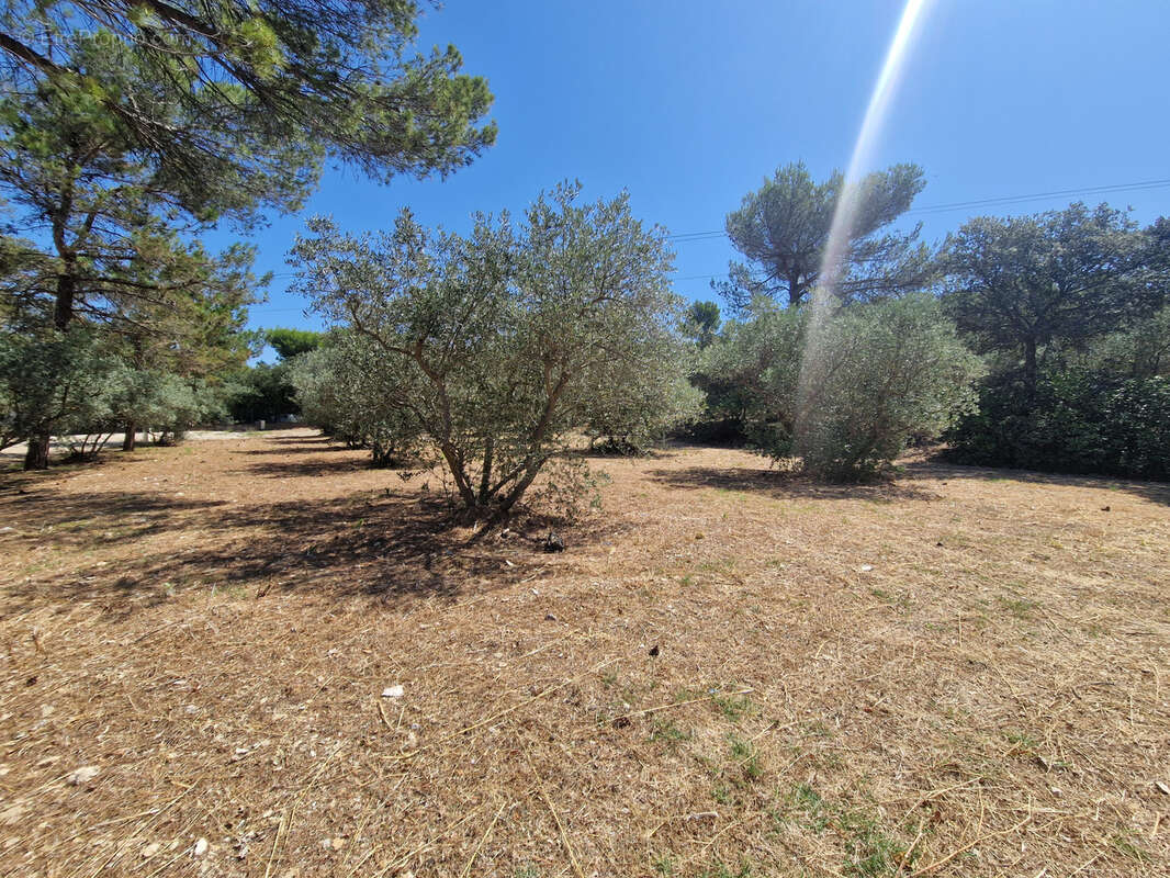 Terrain à CAVAILLON