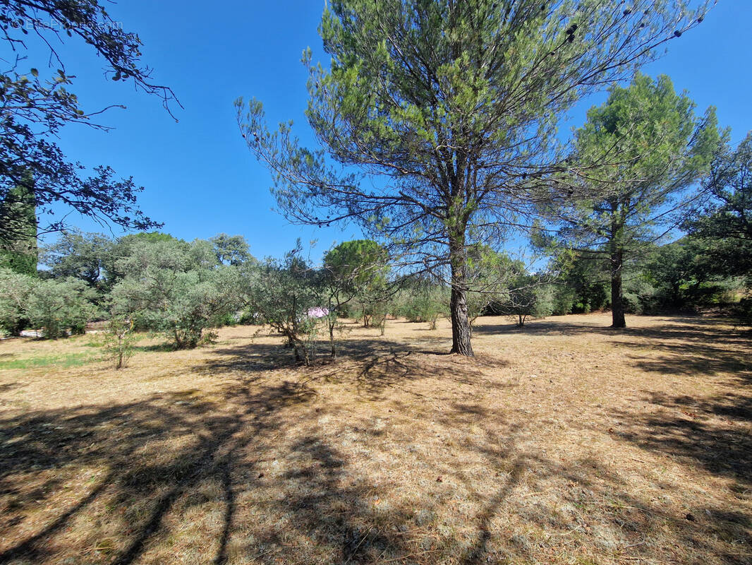 Terrain à CAVAILLON