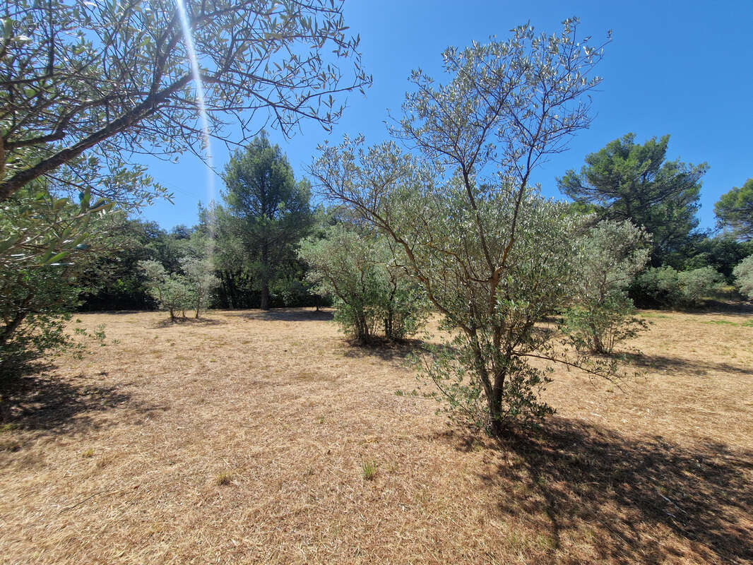 Terrain à CAVAILLON