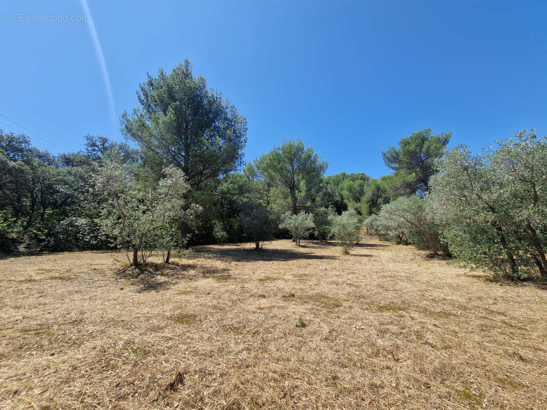 Terrain à CAVAILLON