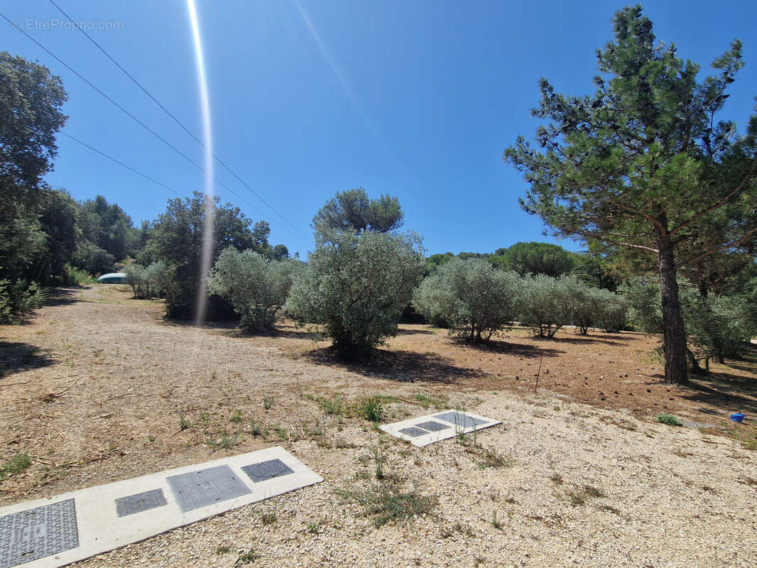 Terrain à CAVAILLON