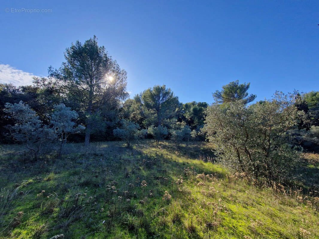 Terrain à CAVAILLON
