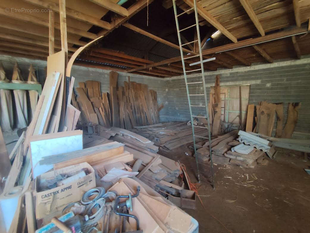 Commerce à RIEUPEYROUX