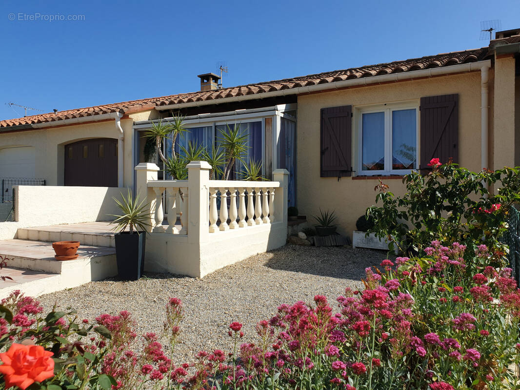 Autre à LAROQUE-DES-ALBERES