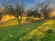 Terrain à CHAMPCEVINEL