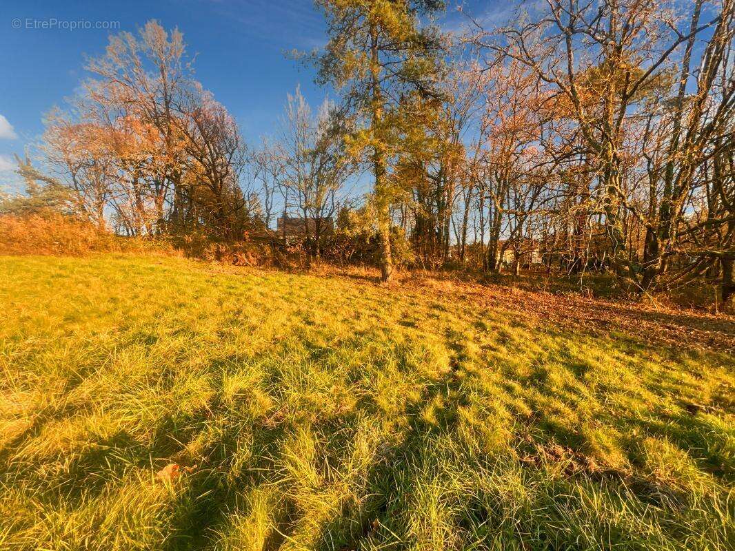 Terrain à CHAMPCEVINEL