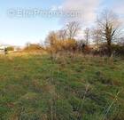 Terrain à QUINCAY