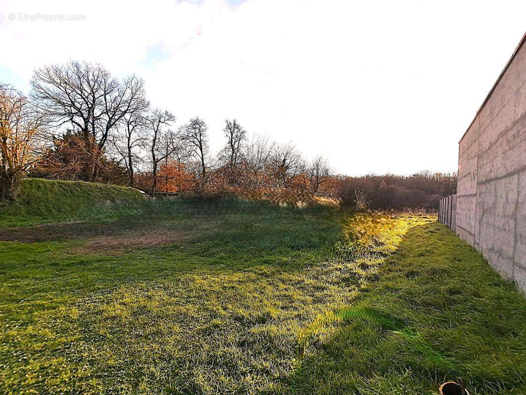 Terrain à QUINCAY