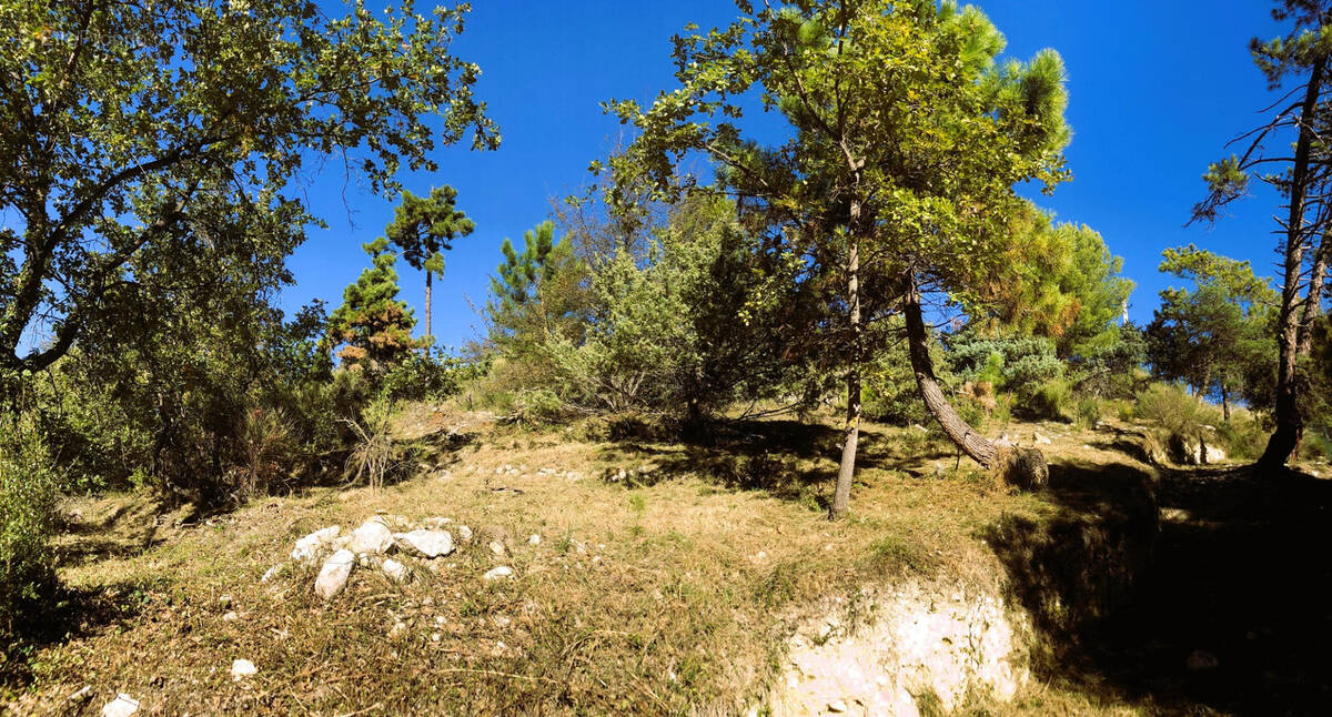 Terrain à ASPREMONT