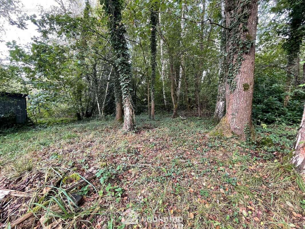 D&#039;une superficie de 6319 m² - Terrain à CHAILLEVOIS