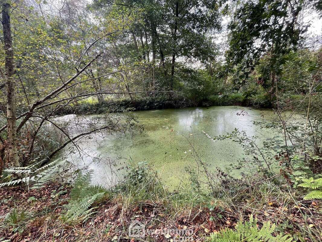 Vous bénéficiez d&#039;un étang - Terrain à CHAILLEVOIS