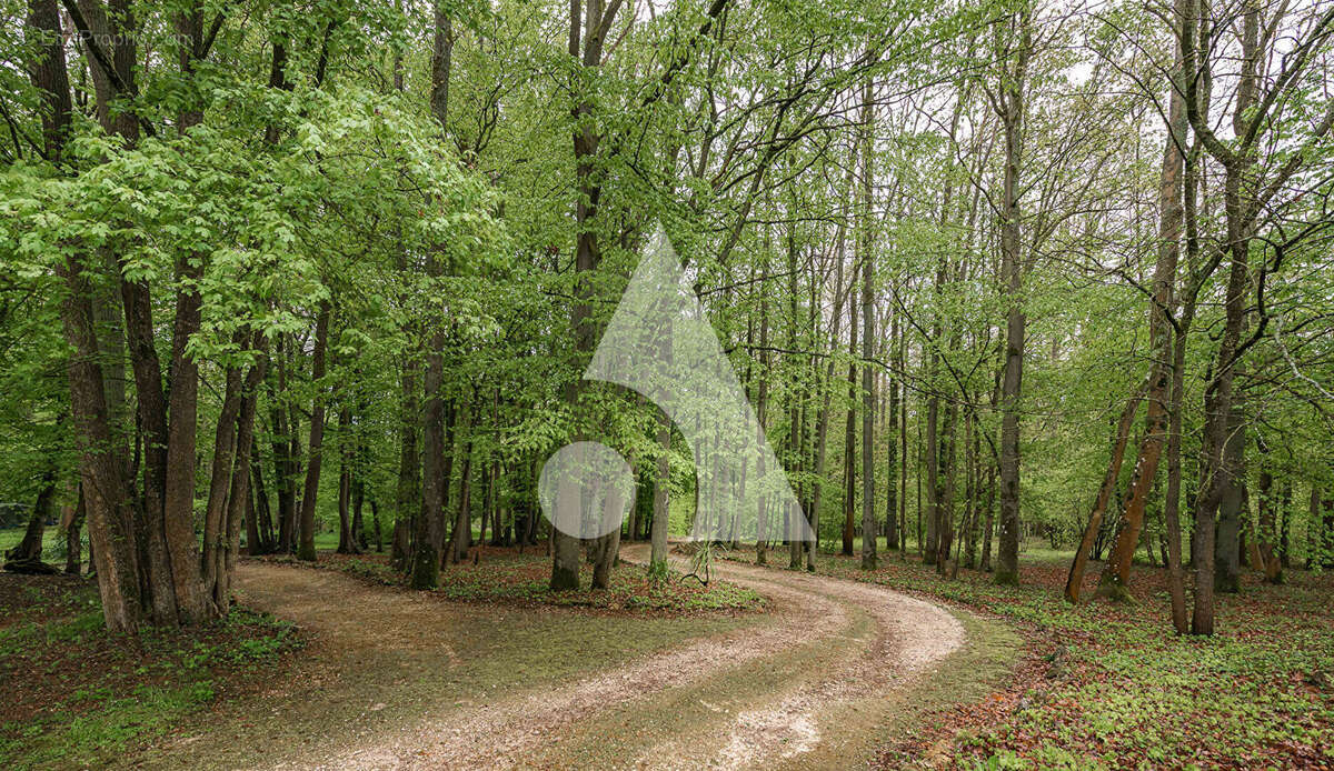 Maison à BOISSY-LE-CHATEL