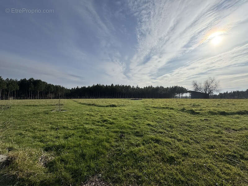 Maison à LA GENETOUZE