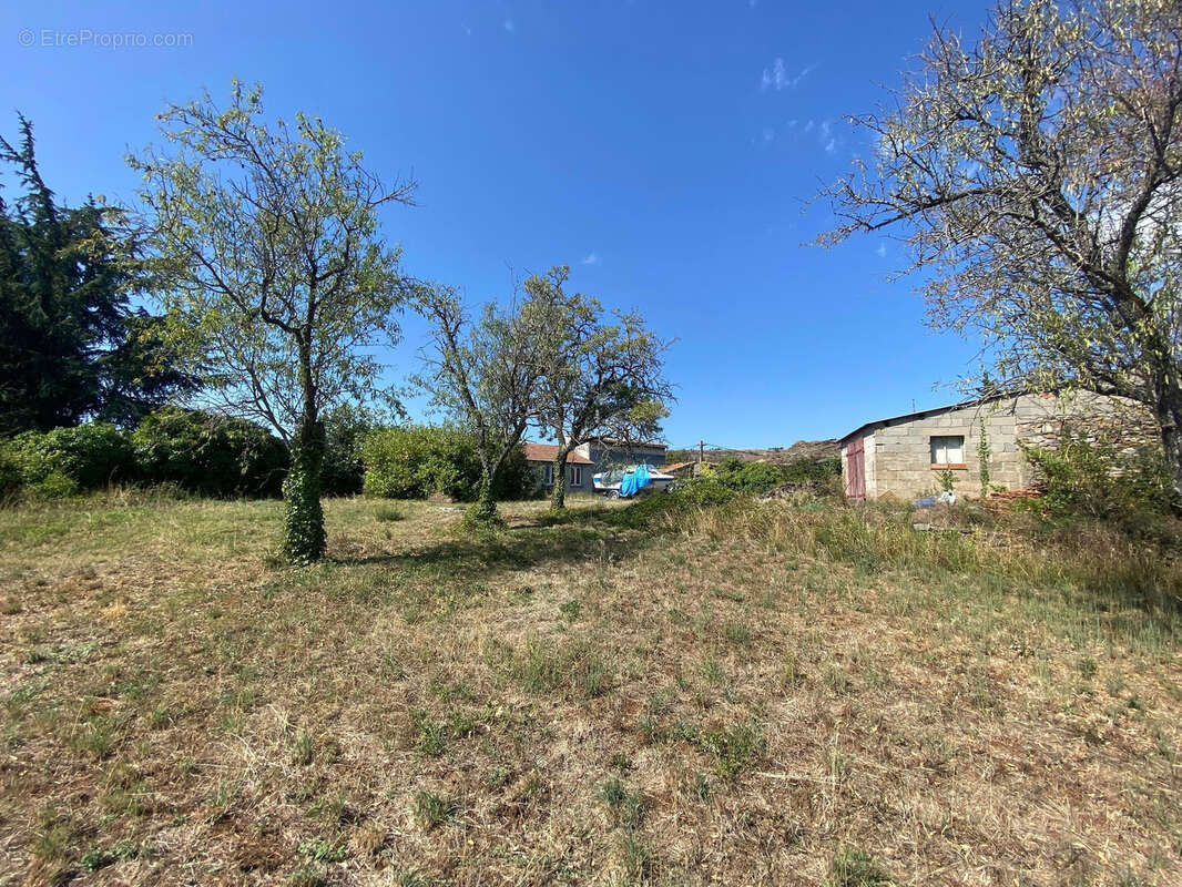 Terrain à VILLANIERE