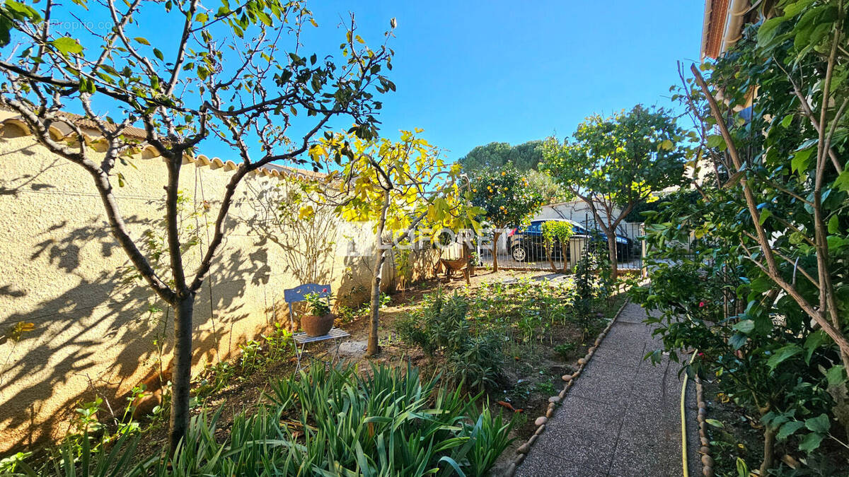 Maison à FRONTIGNAN