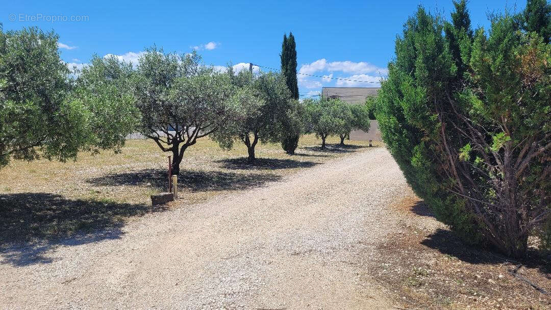 Commerce à SERIGNAN-DU-COMTAT