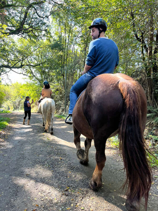 Commerce à CINTEGABELLE