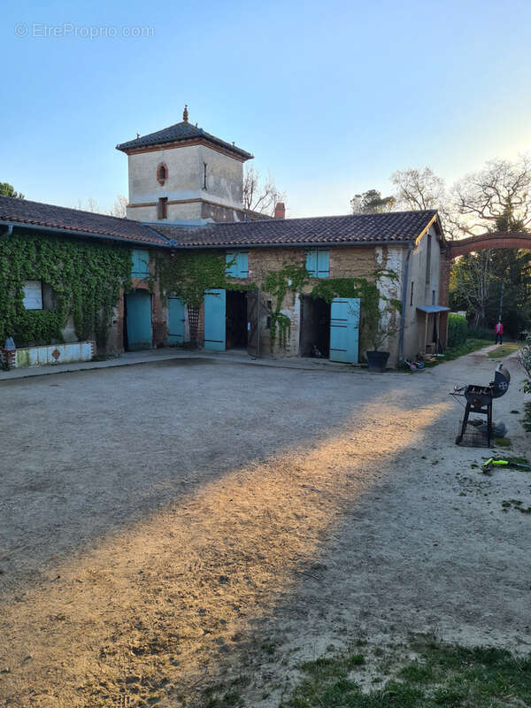 Commerce à CINTEGABELLE
