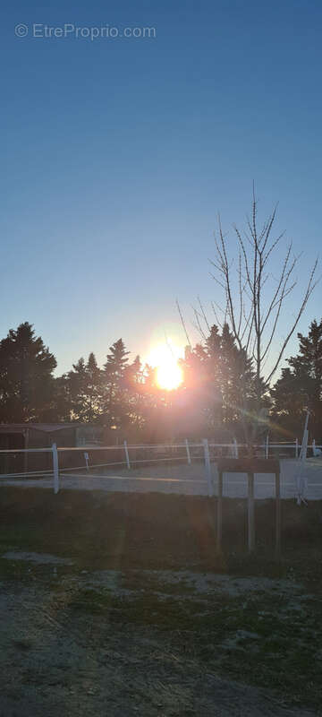 Commerce à CINTEGABELLE