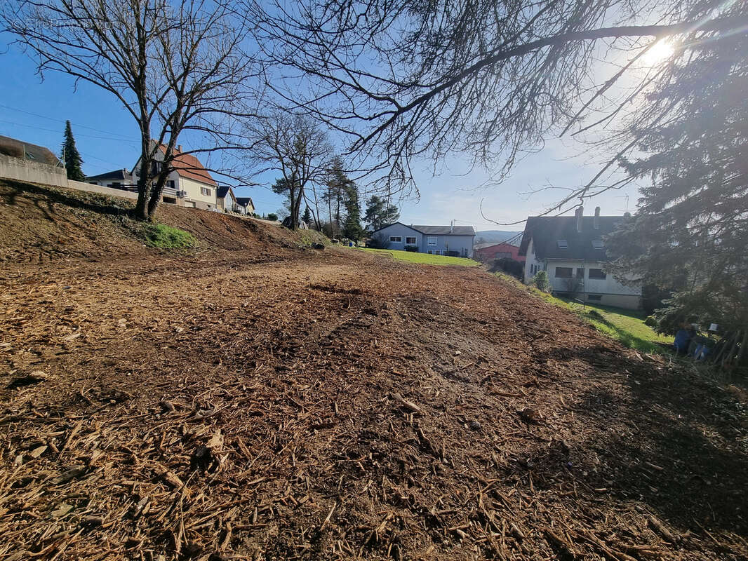 Terrain à OBERHASLACH